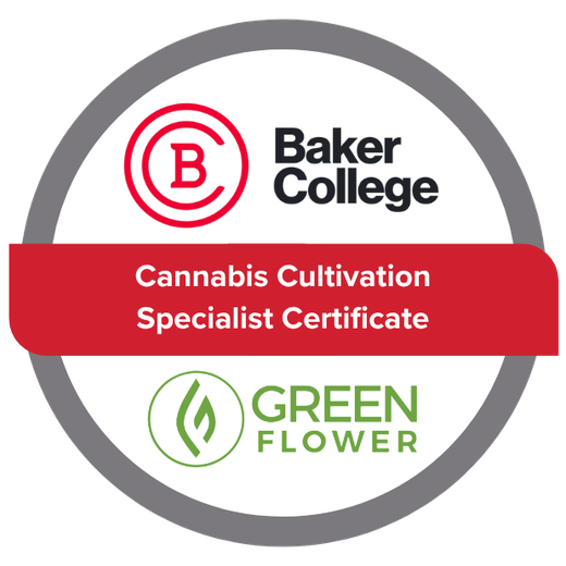 Cannabis Cultivation Specialist Certificate awarded to a member of the True North team by Baker College with Green Flower